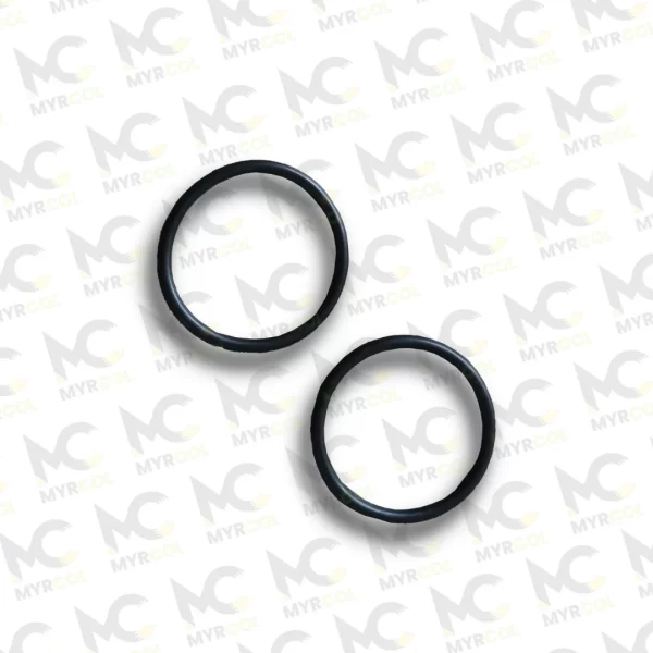 0634 303 466 ORING ZF