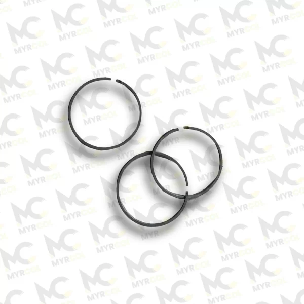 0724 401 106 PISTON RING ZF